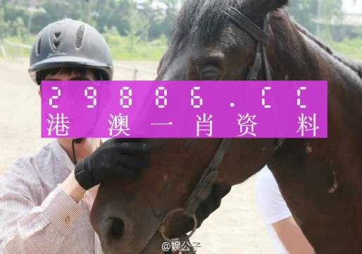 澳门今晚必中一肖一码准确9995,最佳解答解释落实_mu168.98.89
