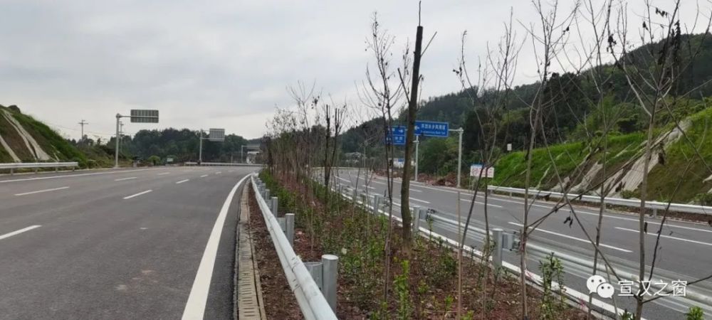 达宣快速通道最新进展
