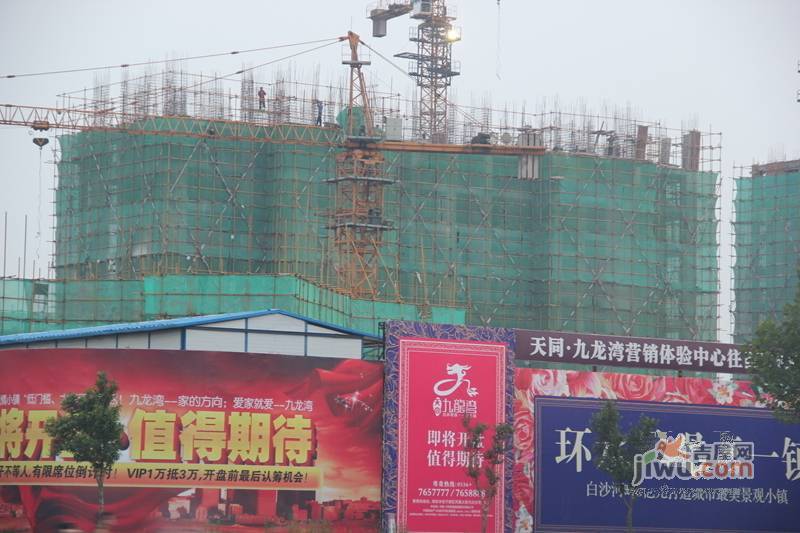 天同九龙湾最新消息