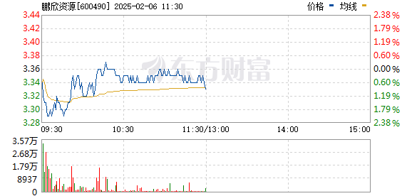 鹏欣资源重组最新情况