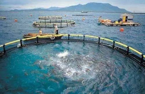 柴油补贴政策最新消息渔民