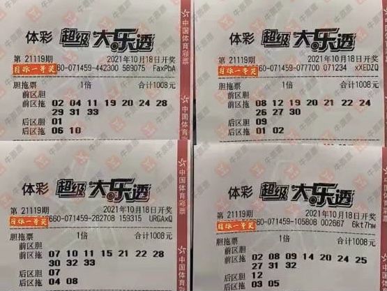 澳门天天开好彩大全65期,澳门天天开好彩大全65期，揭秘彩票背后的故事与文化内涵