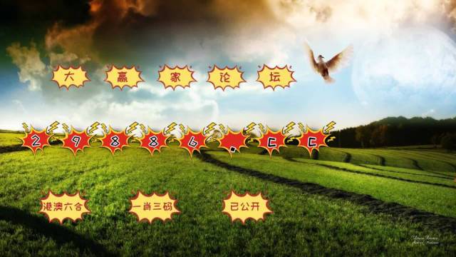 老澳门彩4949最新开奖记录,老澳门彩4949最新开奖记录，探索与解析