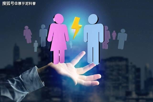 管家婆必出一中一特100%,管家婆必出一中一特，揭秘神秘数字背后的真相，准确率高达100%