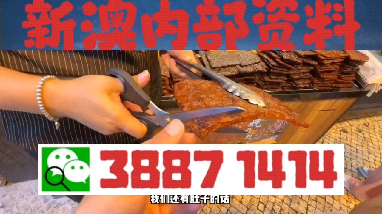澳门一肖一码今晚中特,澳门一肖一码今晚中特，探索澳门特色与未来展望