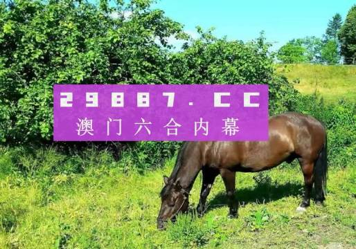 澳门一肖一码一中一,澳门一肖一码一中一，探寻幸运之门背后的秘密