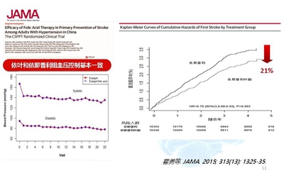 澳码精准100%一肖一码最准肖,澳码精准100%一肖一码最准肖，揭秘彩票预测的真相与智慧投注之道