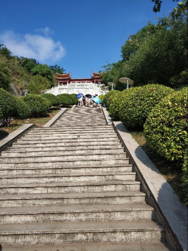 刘伯温精准三期内必开196,刘伯温精准三期内必开196，探寻神秘预言背后的真相