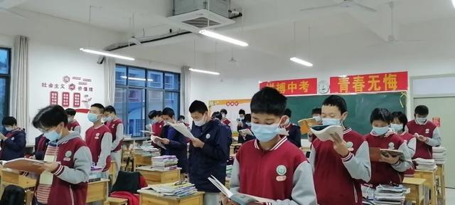 二四六天天彩资料大全网最新600,二四六天天彩资料大全网最新，探索与挖掘的宝藏之地