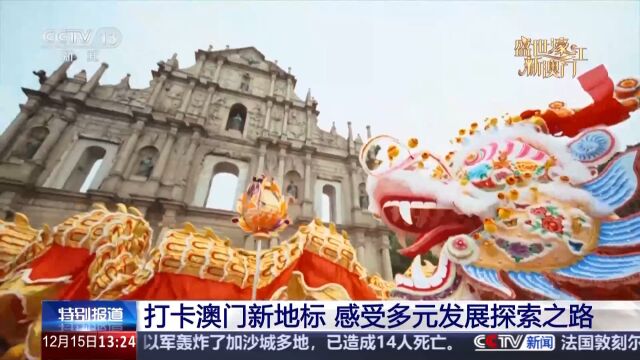 澳门今晚上必开一肖,澳门今晚上必开一肖，探索命运之轮背后的神秘面纱