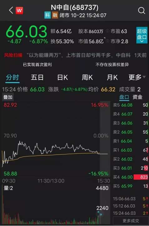三肖三码中特期期准资料,揭秘三肖三码中特期期准资料，探索背后的秘密与真相