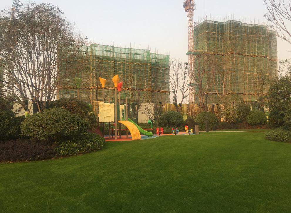 资讯 第237页