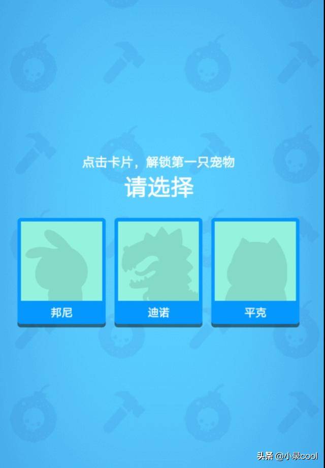 一肖一码中持一一肖一码,一肖一码中持一一肖一码，探索与理解