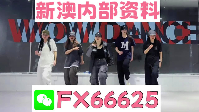 管家婆一码一肖资料大全一语中特,揭秘管家婆一码一肖资料大全，一语中的神秘特质