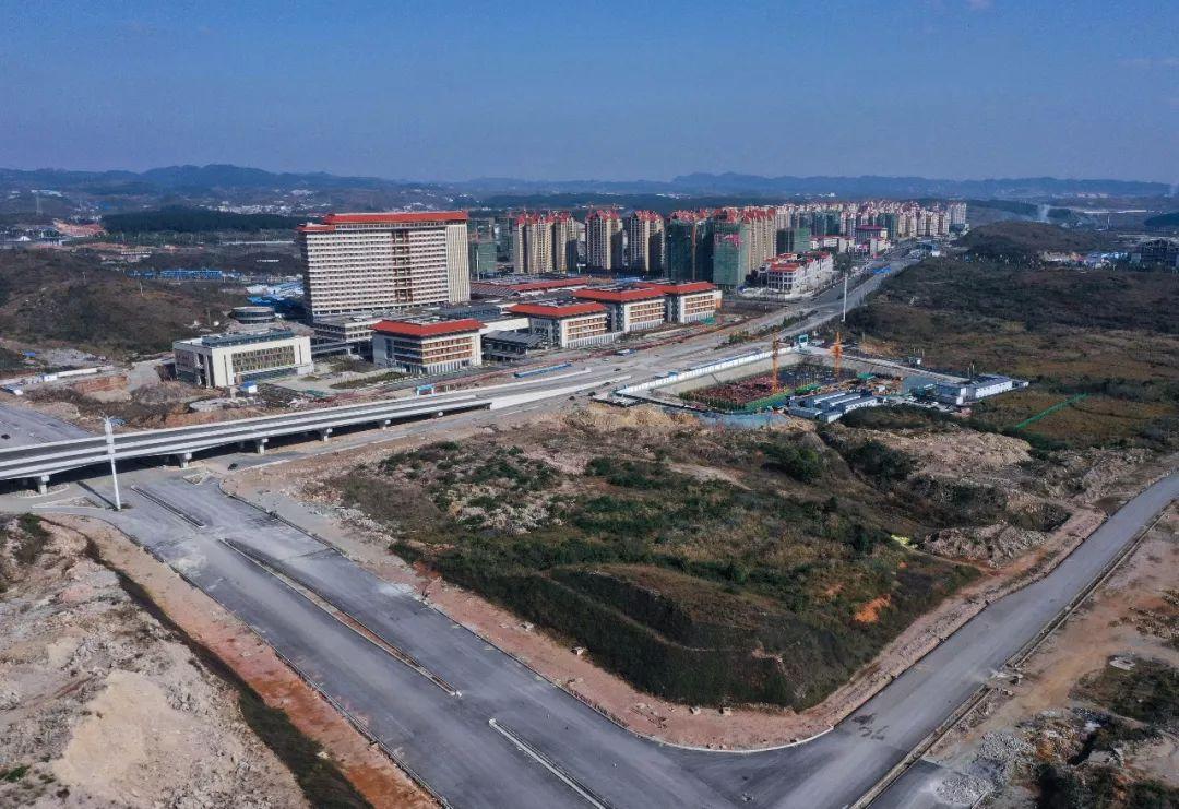 2025年白小姐四肖期期准,探索未来，2025年白小姐四肖期期准的神秘面纱