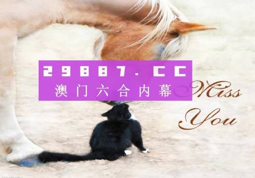4949澳门精准资料一码,澳门精准资料一码，探索与解读