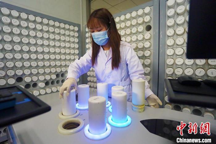 澳门高级资料内部群,澳门高级资料内部群，探索、价值与重要性