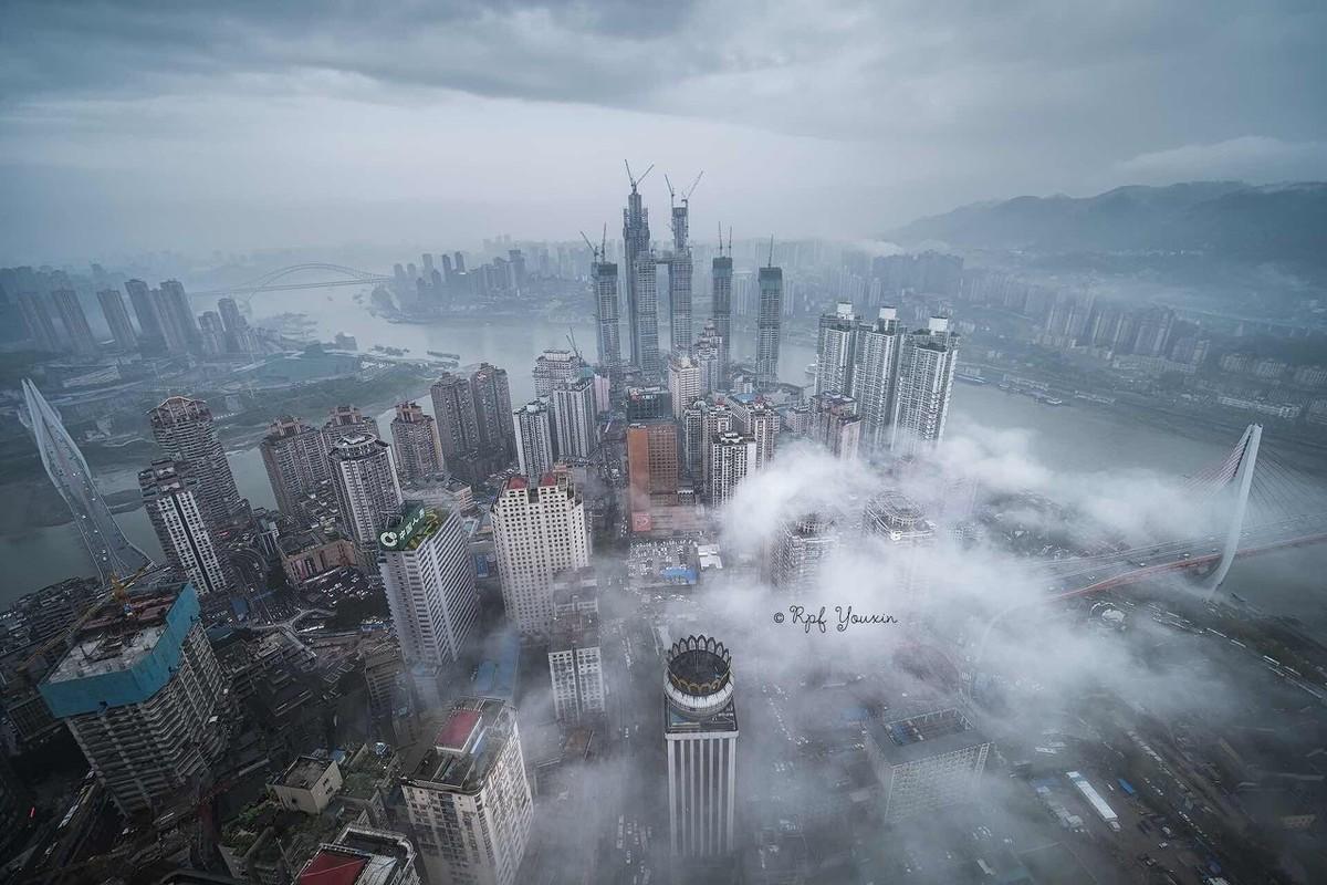 2025年正版资料免费大全中特,2025正版资料免费大全中特，未来的知识共享与资源开放性展望