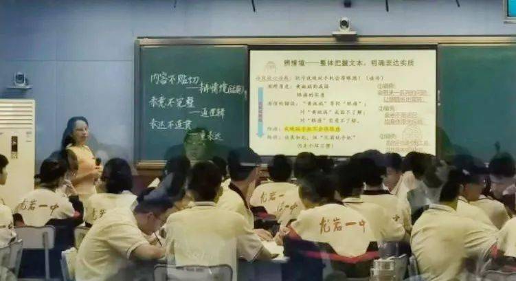 一肖一码一中一特,一肖一码一中一特，探寻背后的神秘与魅力