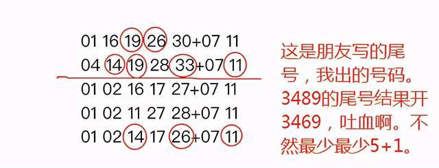 四肖期期准四肖期准开,四肖期期准与四肖期准开，探索与解析