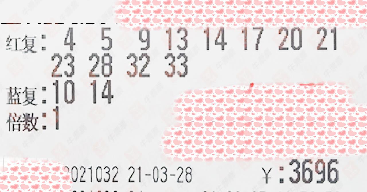 新澳313今晚开奖结果查询,新澳313今晚开奖结果查询——揭秘彩票背后的故事