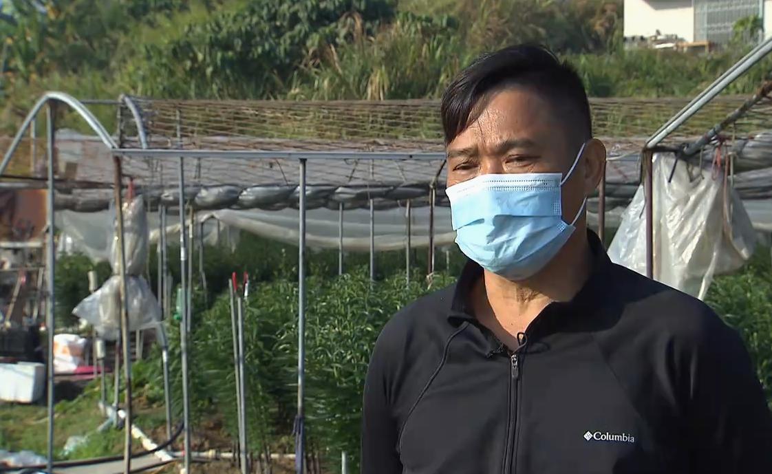 黄大仙精选四肖期期准,黄大仙精选四肖期期准——揭秘神奇的预测之道