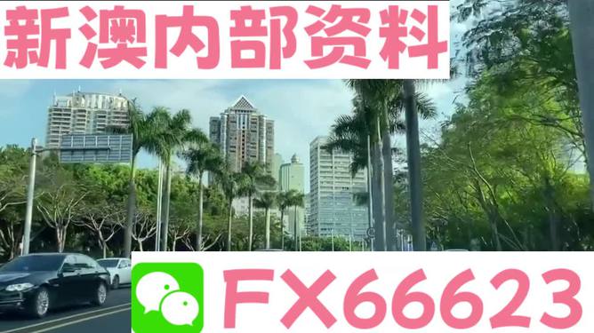 新澳精准资料期期精准24期,新澳精准资料期期精准，深度解析与实际应用探讨