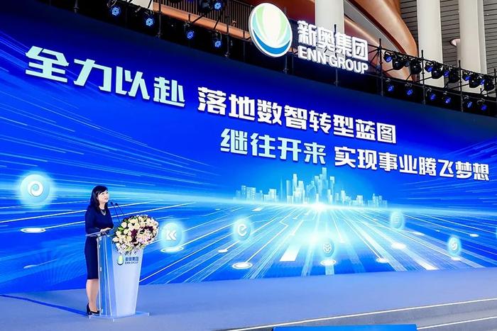 2025新奥免费看的资料,探索与期待，关于新奥的免费资料在2025年的展望