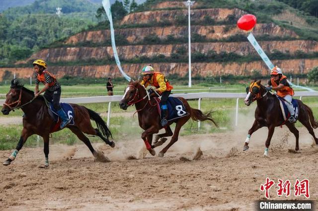 香港今晚开什么特马,香港今晚开什么特马，赛马文化与社会现象的观察