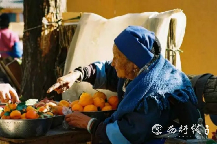 快评 第174页