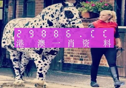 一肖一码9995cocm,一肖一码的独特魅力与探索，9995cocm的独特价值