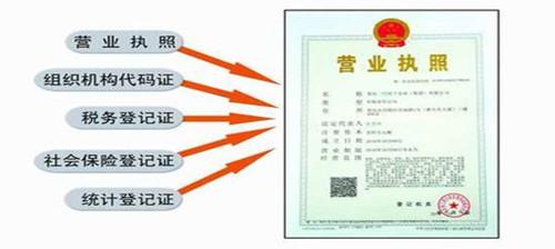 管家婆一票一码资料,管家婆一票一码资料，企业运营中的关键要素解析