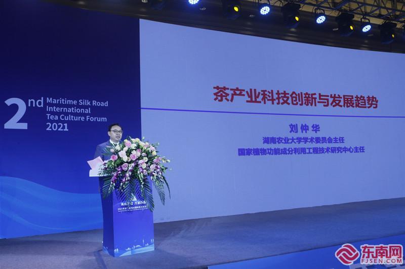 王中王高手论坛资料网址,王中王高手论坛资料网址——探索智慧与经验的交汇点