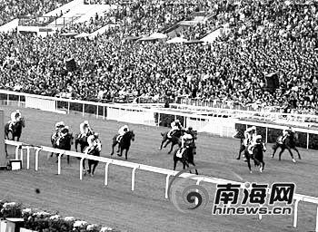 澳门六今晚开什么特马,澳门六今晚开什么特马，探索澳门赛马文化的魅力
