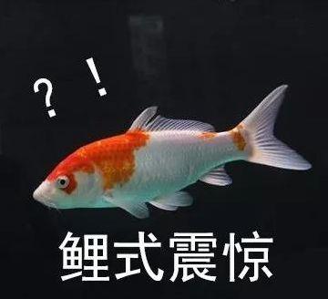 一码一码中奖免费公开资料,一码一码中奖，免费公开资料与彩票梦想的实现