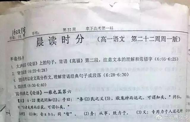 二四六天天彩资料大全凤凰,二四六天天彩资料大全凤凰，探索与启示