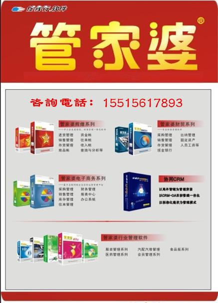 管家婆2025资料精准大全,管家婆2025资料精准大全，探索与解析