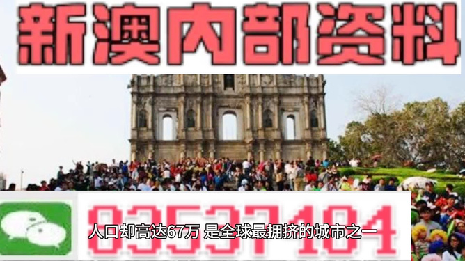新澳门免费资料大全正版,新澳门免费资料大全正版，探索与解读