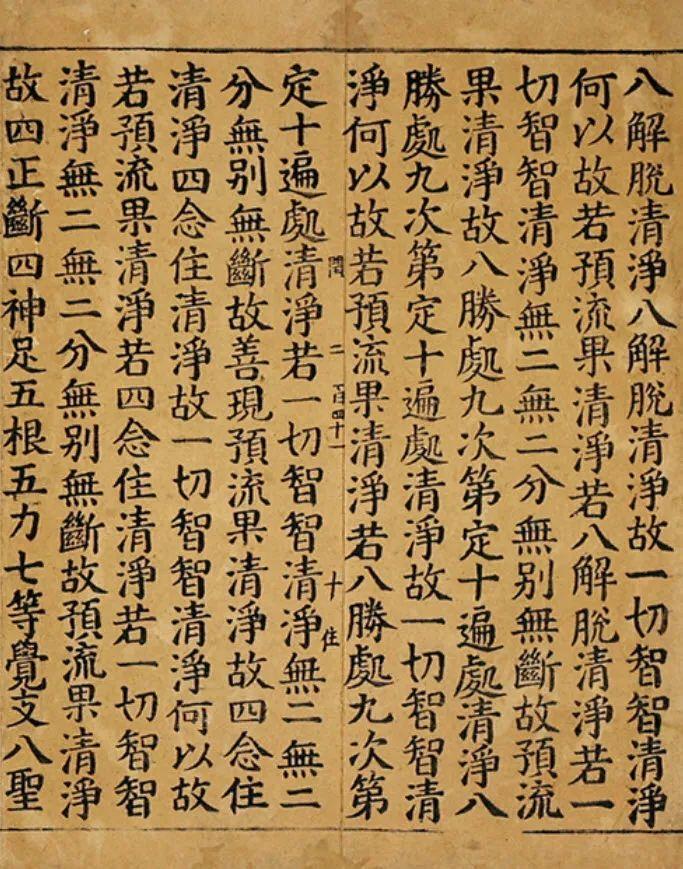 二四六天天彩资料大全网址,二四六天天彩资料大全，探索与学习的宝库