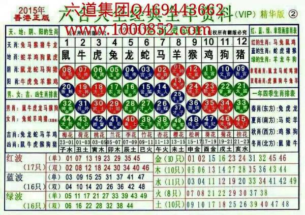 2025十二生肖49码表,揭秘十二生肖与数字彩票的奇妙结合，2025年十二生肖49码表详解
