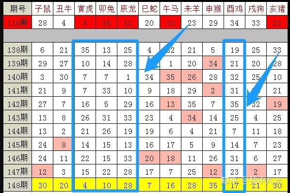 2025十二生肖49个码,揭秘十二生肖与数字49的神奇联系——探寻未来的秘密之码