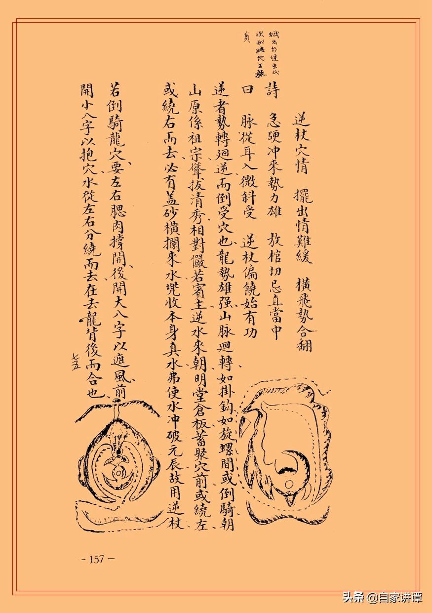 刘伯温选一肖期期准03期,刘伯温选一肖期期准03期，神秘预测背后的故事