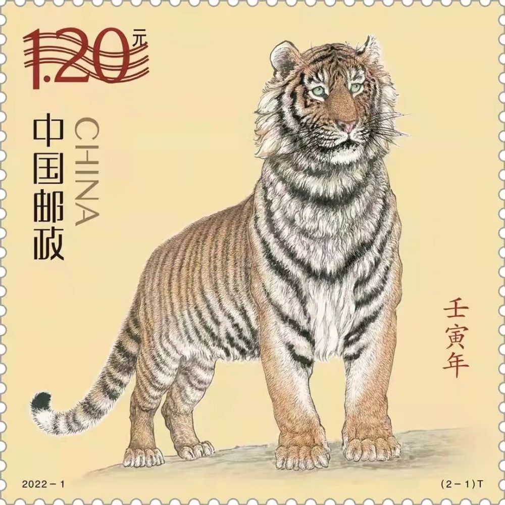 2025今晚开的四不像生肖图,关于今晚四不像生肖图的解读与预测——以2025年为例