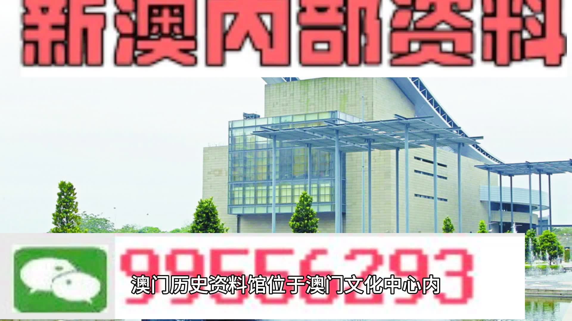 澳门4949免费精准,澳门4949免费精准——探索数字彩票的魅力与策略