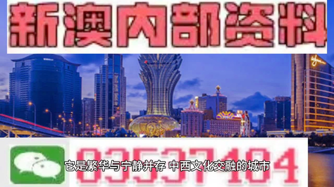 新奥门天天免费正版资料,新澳门天天免费正版资料，探索与揭秘