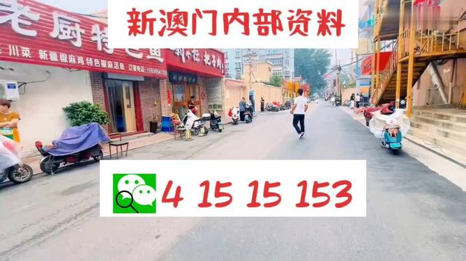 2004新奥门天天开好彩,探索新澳门，2004年的繁荣与好彩
